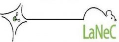 Laboratório Institucional de Neurociências Comportamental e Molecular da UFMG (LANEC)