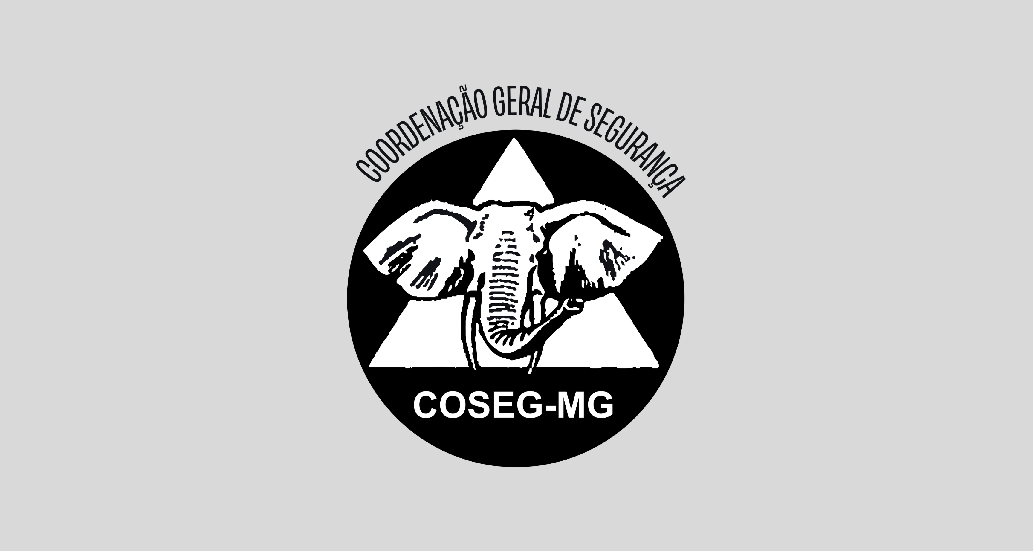 Digitalização, organização, descrição e disponibilização do acervo documental da polícia política mineira – Coseg