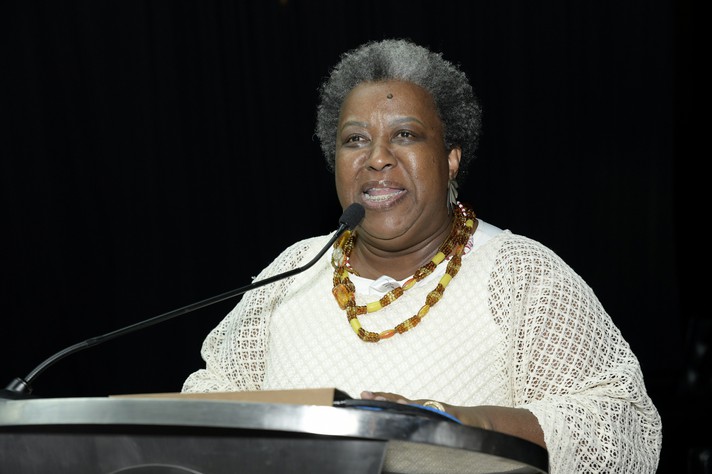 Ministra Macaé Evaristo